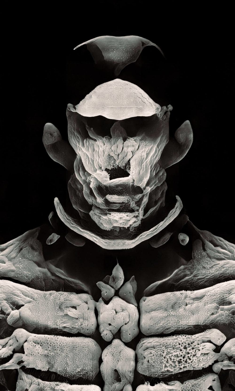 This is an image
